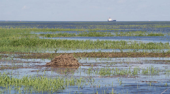 Navire au loin dans le chenal de navigation