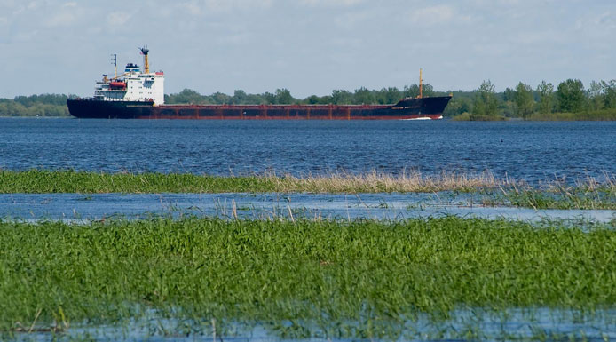 Navire dans chenal de navigation