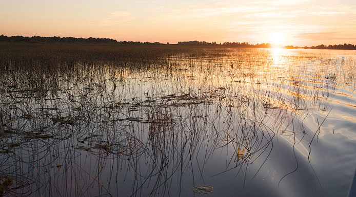 Sunrise seen from a marsh.