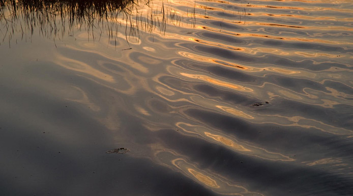 Shimmering water