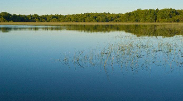 Île avec des arbres près du fleuve Saint-Laurent