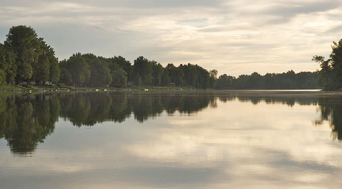 Reflection of trees on water