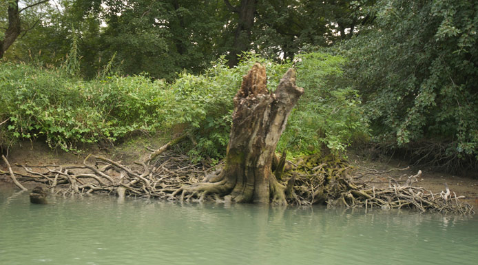 Chenal près de la rivière Yamaska