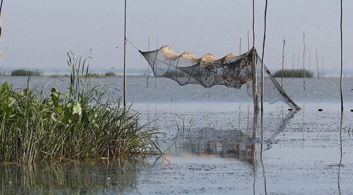 Funnel-shaped net at the end of the stakes above water
