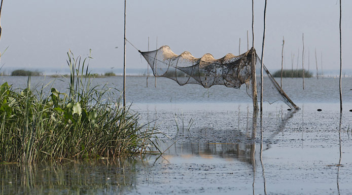 Verveux placé au bout de piquets au-dessus de l’eau