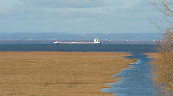 Navire dans chenal de navigation avec montagnes à l’horizon