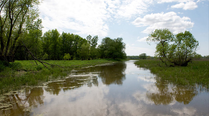 Réflexion d’arbres sur l’eau d’un chenal 