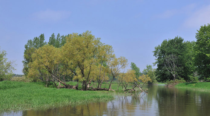 De la Sauvagesse channel