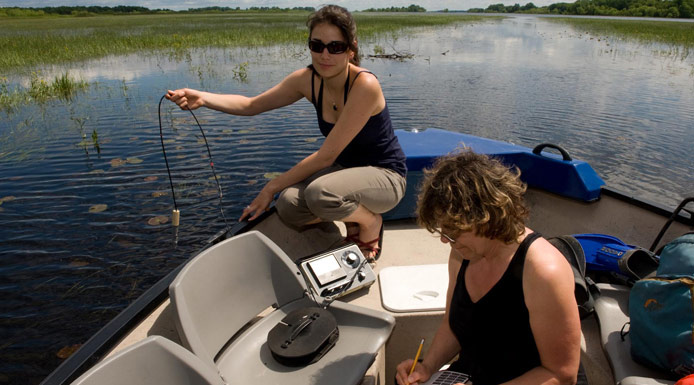 Measurement of dissolved oxygen in water.