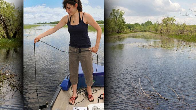 LI-COR photometer in the lake water