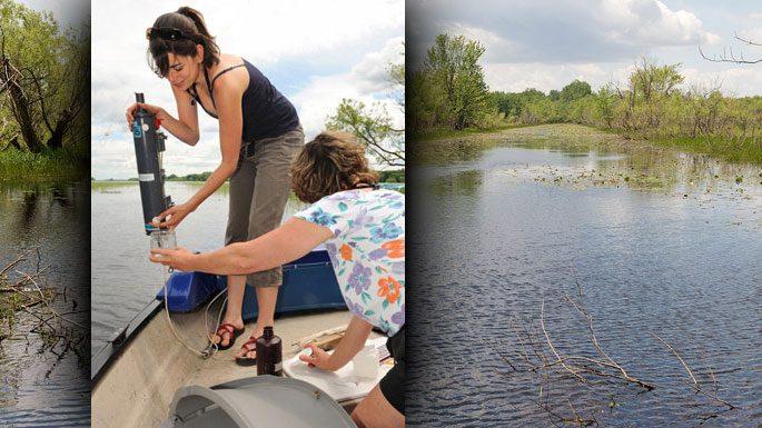 Using a transparent bottle to collect the zooplankton.