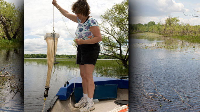 Using a cantilevering vertival tow net 