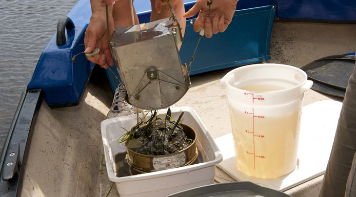 The Ekman grab is emptied of sediment sample collected.