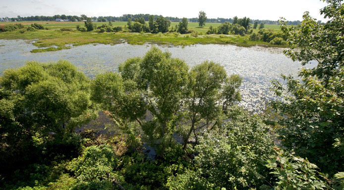 Farmhouses in the background in the archipelago